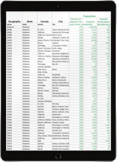 example report